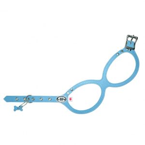 Buddy Belts Premium Blue