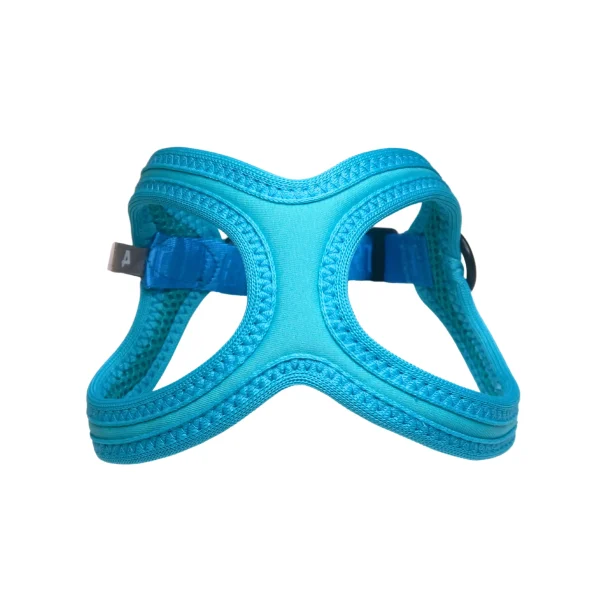 Buddy Belts Sport Vibrant Neon