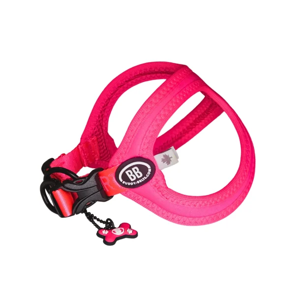 Buddy Belts Sport Vibrant Neon